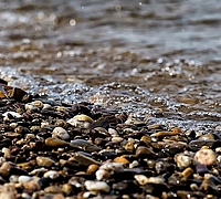 Unten nasse Kieselsteine am Ufer eines Sees, an die von rechts oben Wasserwellen eines Sees schlagen