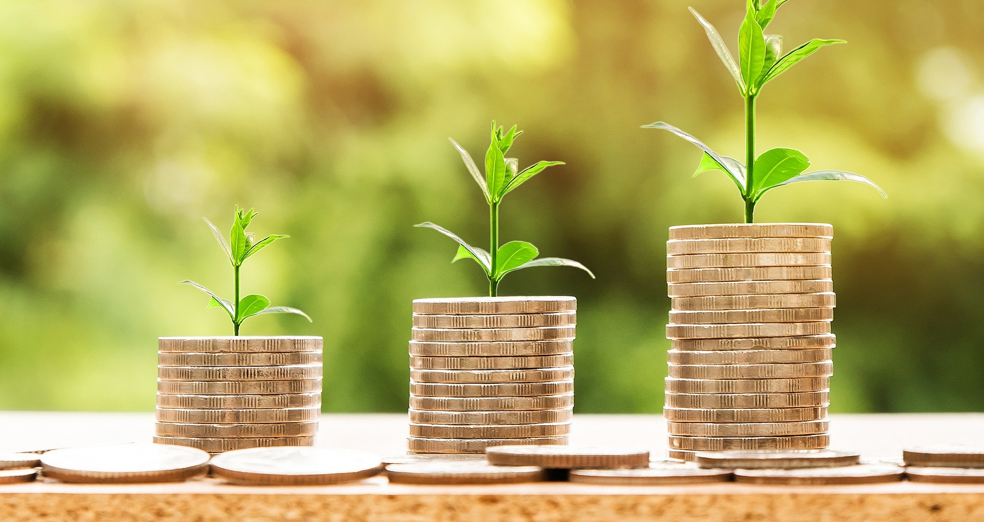 Münzen und Pflanzen 