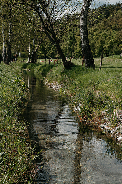 Waldkraiburg, Holzhauser Bach Waldkraiburg, Holzhauser Bach