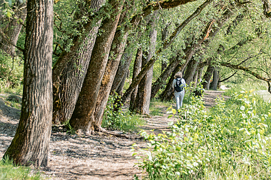 Von Gars nach Au am Inn Gars nach Au am Inn Wanderweg