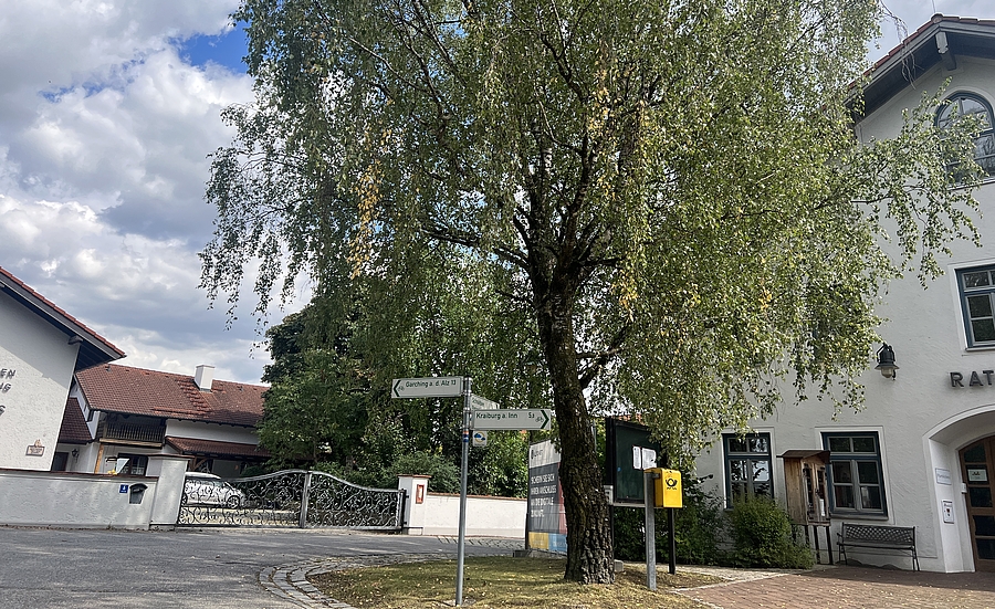 Stadt - Baum und Gebäude