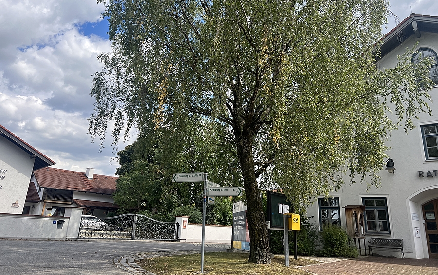 Stadt - Baum und Gebäude