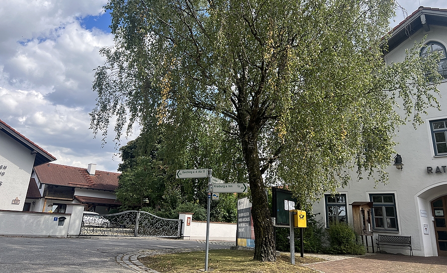 Stadt - Baum und Gebäude