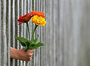 Blumenstrauß wird durch einen Zaun gehalten