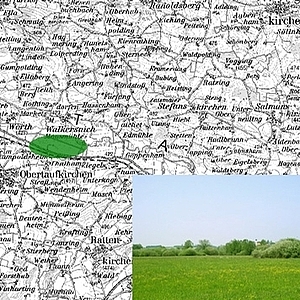 Topographische Karte mit grün markiertem Standort, rechts unten Foto Mooswiese mit Blumen, im Hintergrund Buschlandschaft