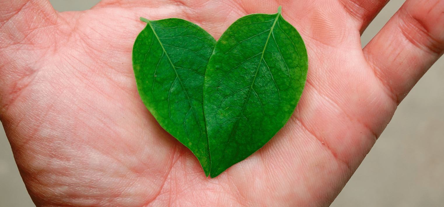 Hand mit zwei Blättern, die wie ein Herz angeordnet sind