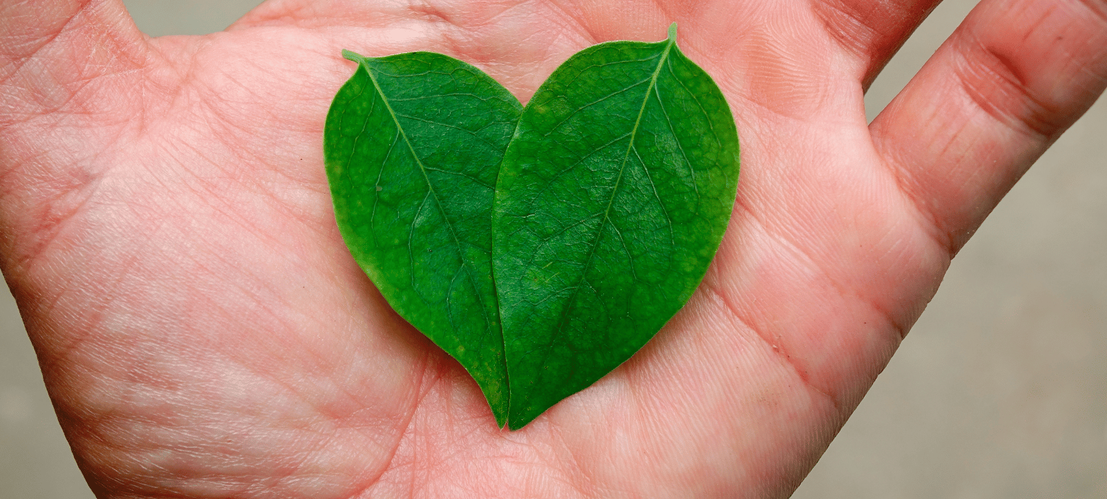 Hand mit zwei Blättern, die wie ein Herz angeordnet sind