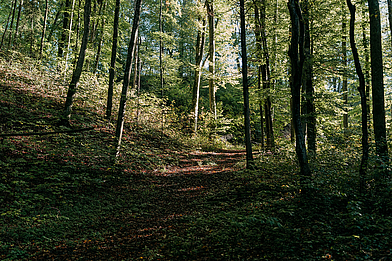 Gars am Inn Waldweg Gars am Inn Waldweg