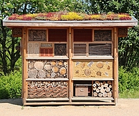 Insektenhotel Großes Insektenhotel aus Holz mit Gründach auf Sandfläche, im Hintergrund Wald