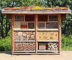 Großes Insektenhotel aus Holz mit Gründach auf Sandfläche, im Hintergrund Wald