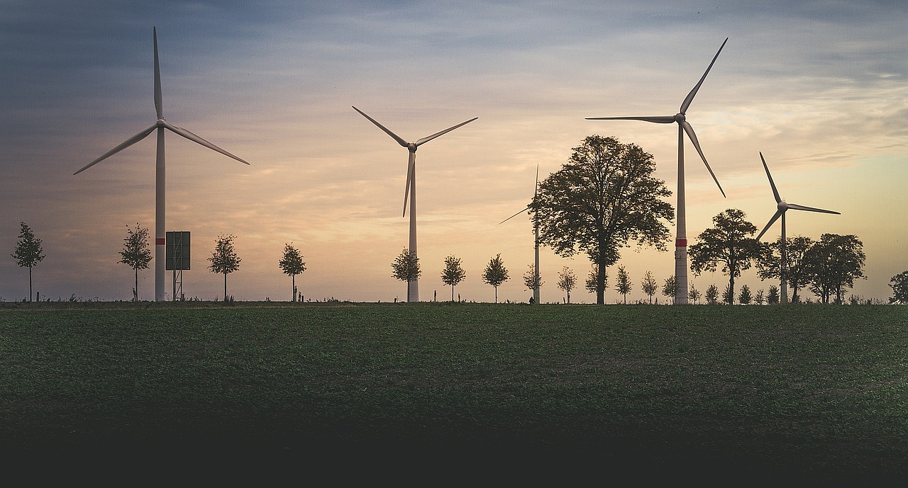 Landschaft mit Bäumen und Windrädern bei Sonnenuntergang