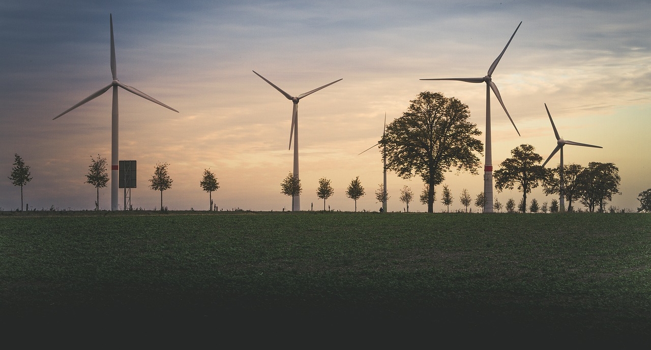 Landschaft mit Bäumen und Windrädern bei Sonnenuntergang