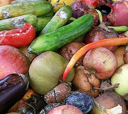 Verfaultes Obst und Gemüse