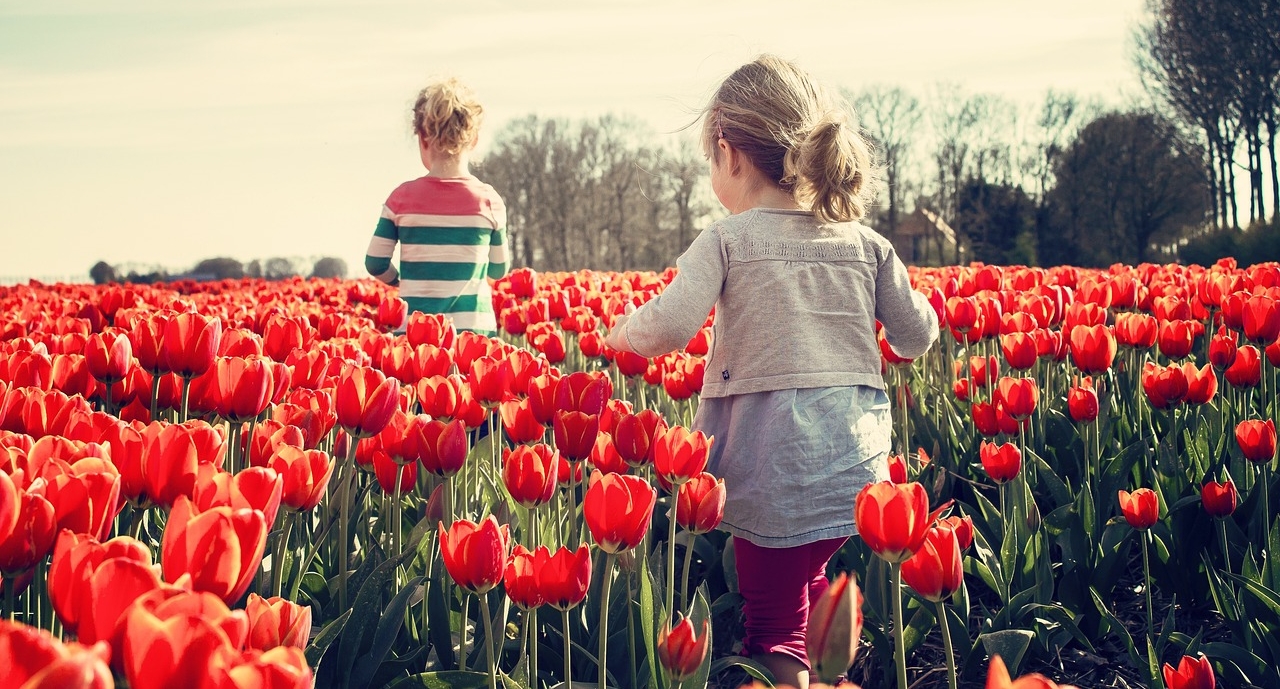 Zwei Kinder von hinten, die in einem Tulpenfeld laufen 
