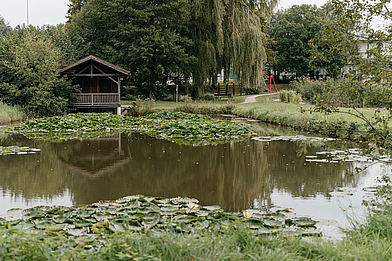 Buchbach Bräuweiher Buchbach Bräuweiher