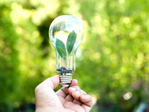 Eine Hand hält eine Glühbirne