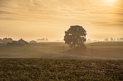 Oberneukirchen Landschaft Oberneukirchen Landschaft