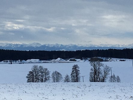 Weihnachtsbild mit Schneefeld, Bäumen und Alpenblick