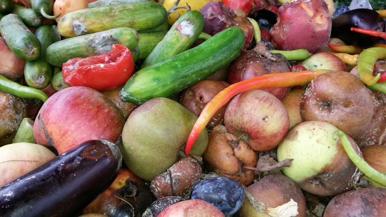 Verfaultes Obst und Gemüse