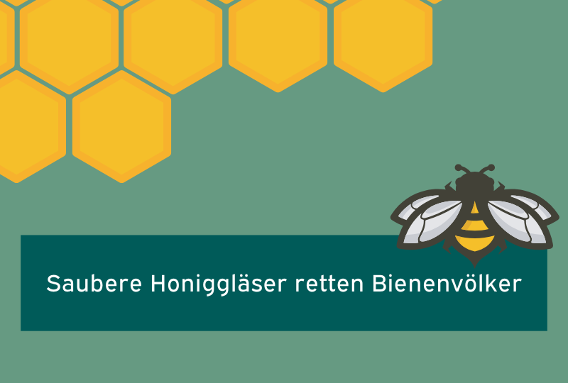 Biene und Infotext zur Faulbrut