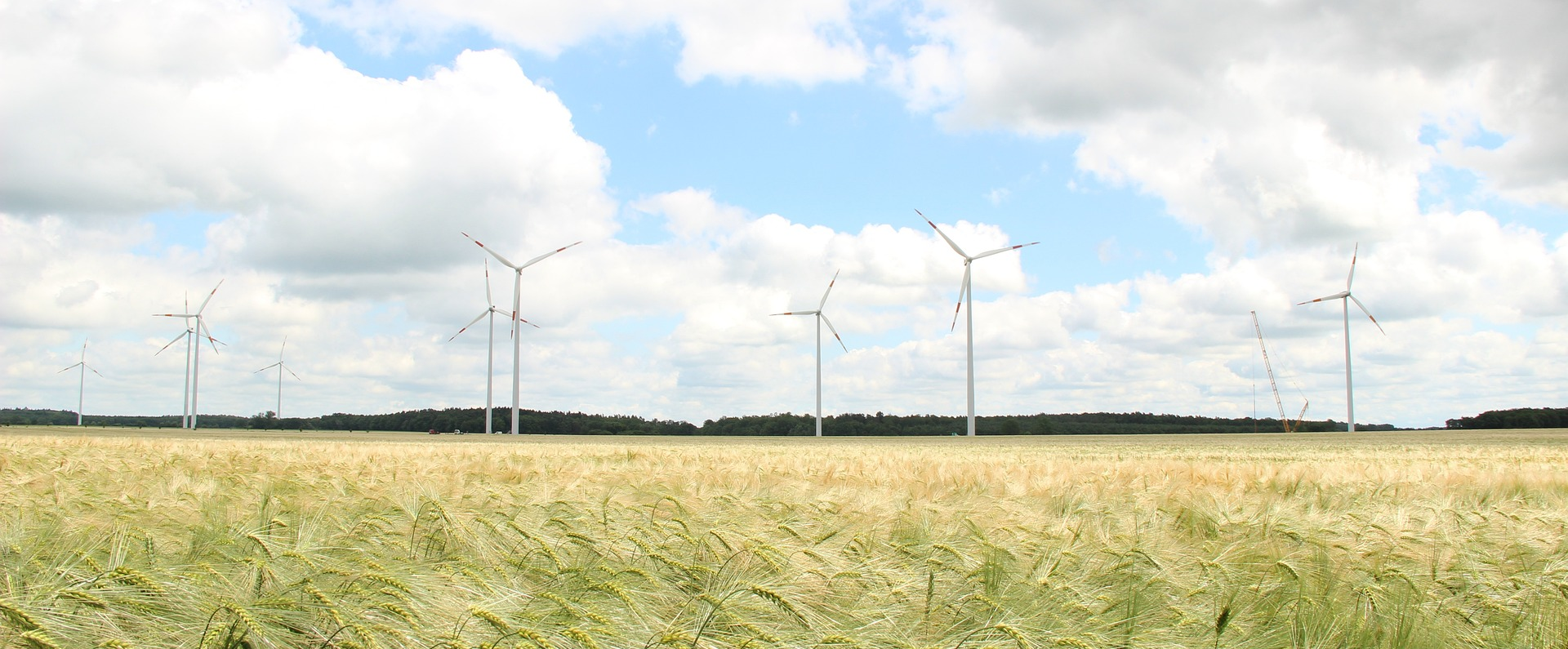 Windräder zwischen Feldern