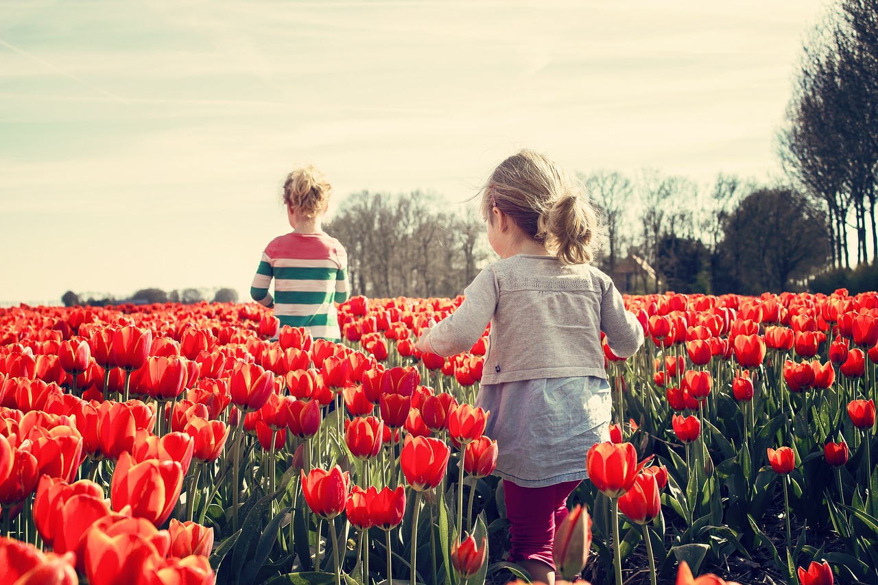 Zwei Kinder von hinten, die in einem Tulpenfeld laufen