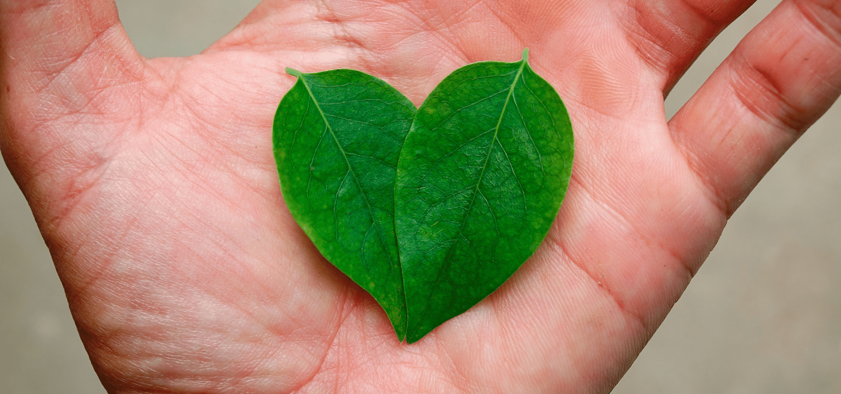 Hand mit zwei Blättern, die wie ein Herz angeordnet sind