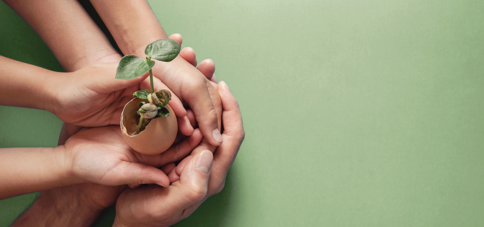 Familie hält eine Eierschale mit Pflanzensetzling in den Händen