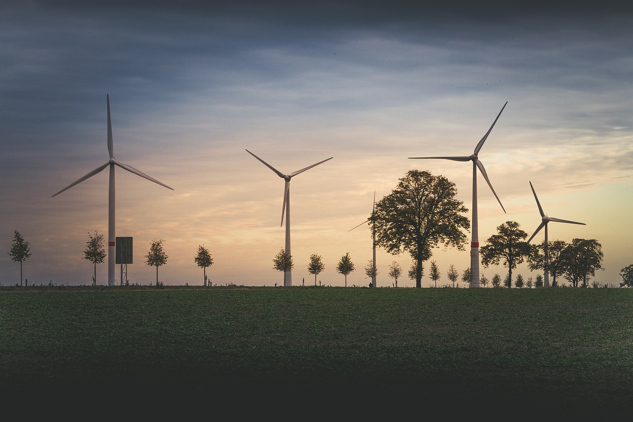 Landschaft mit Bäumen und Windrädern bei Sonnenuntergang