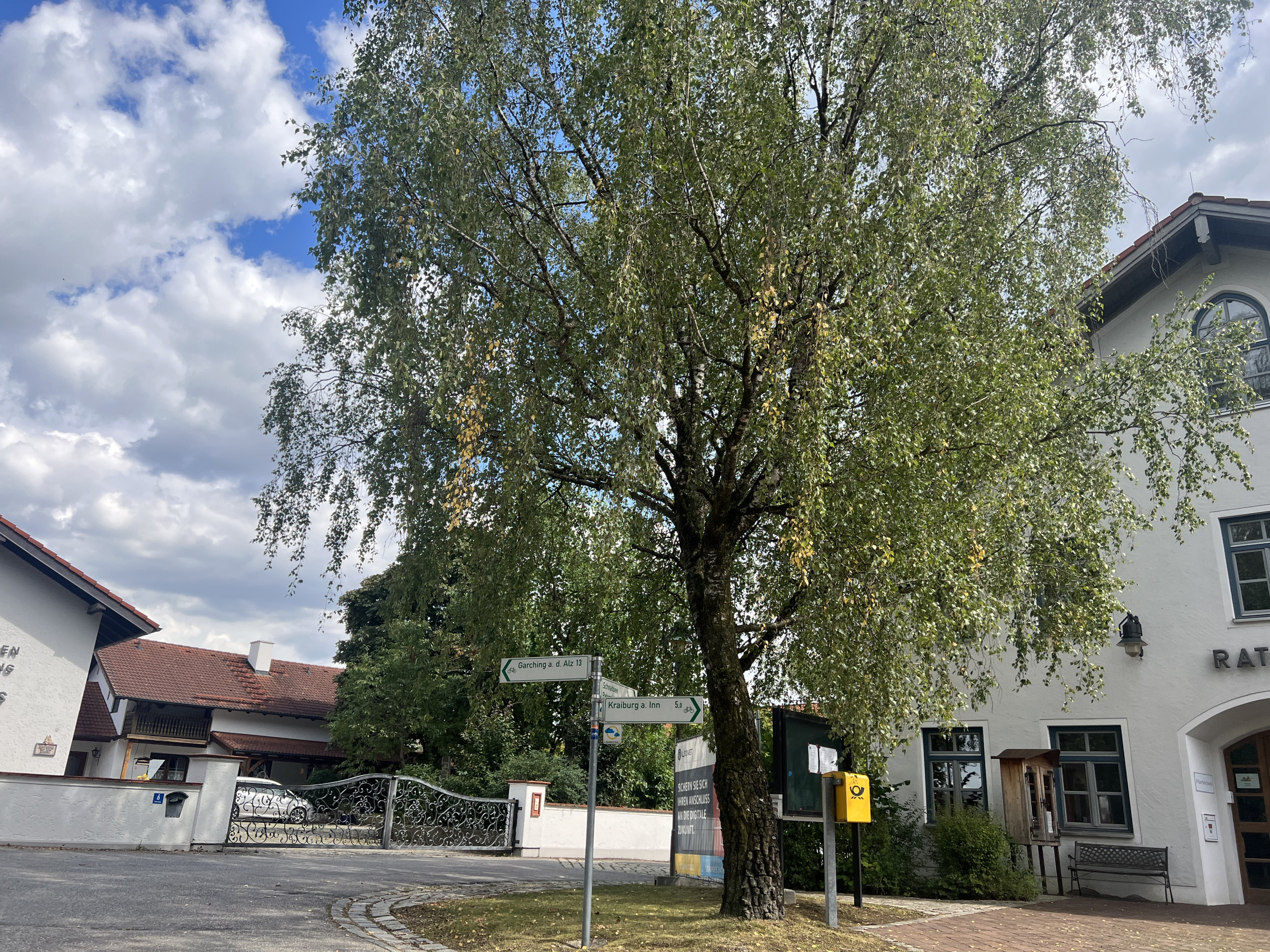 Stadt - Baum und Gebäude