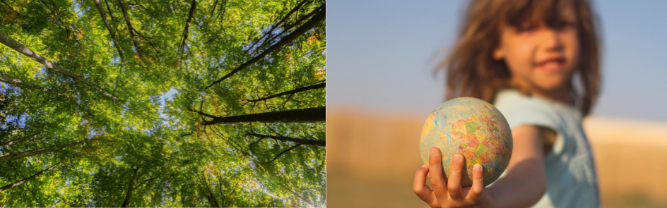 Das linke Bild zeit Baumkronen, auf dem rechten Bild ist ein Mädchen mit einer Weltkugel in der Hand zu sehen
