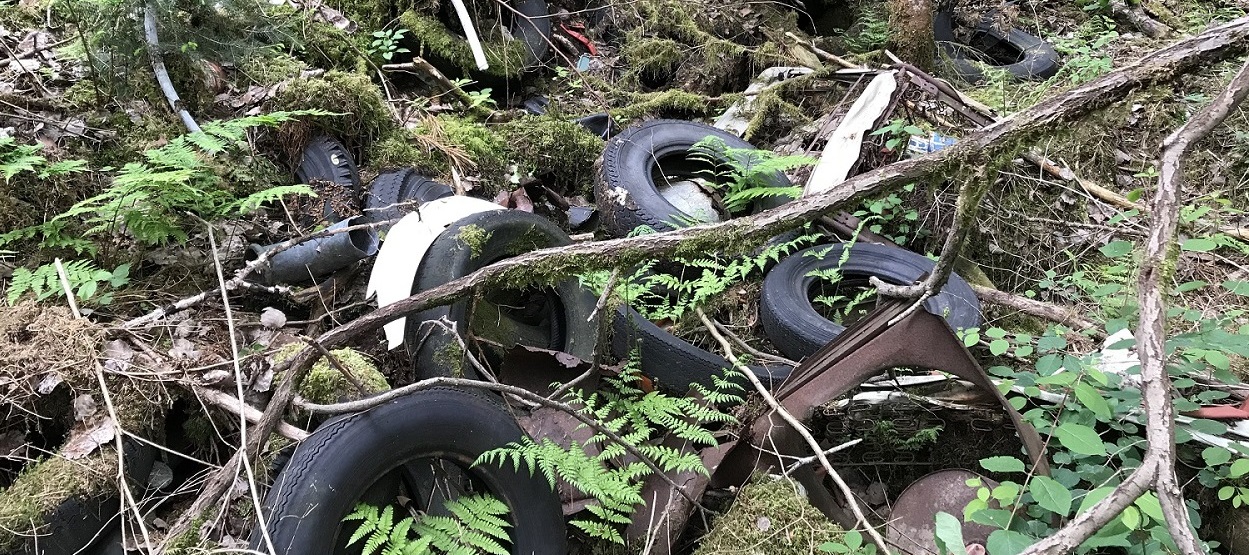 entsorgte Altreifen im Wald